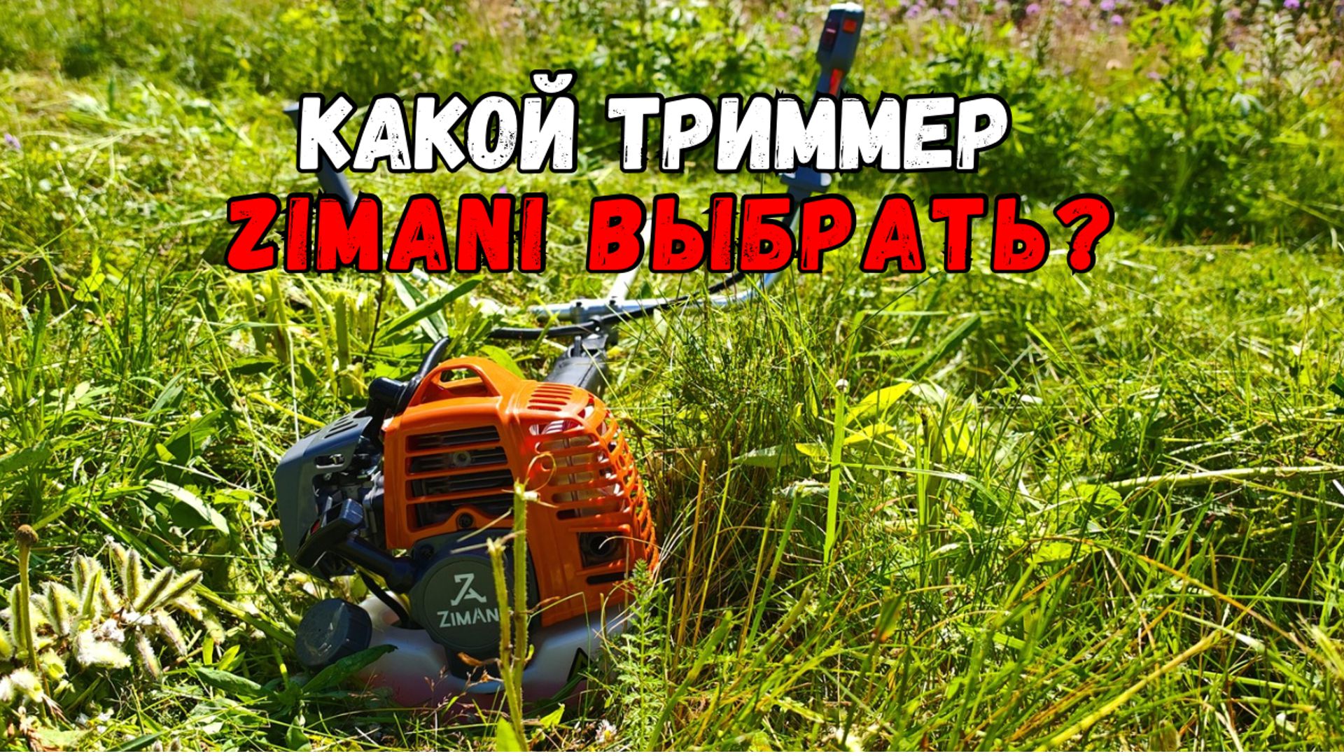 Какой триммер лучше? 
